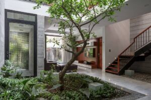 Giếng Trời Là Gì? Một Số Lưu Ý Khi Xây Dựng Giếng Trời Trong Nhà