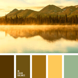 902 Color Color Palette #902 | Qi Concept
