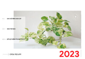 Kinh Nghiệm Thuê Thiết Kế Nội Thất Giá Rẻ Cho Gia Chủ Mới Mua Nhà