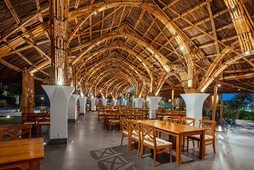 Kinh nghiệm và chuyên môn