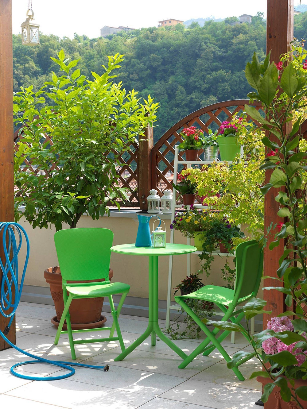 Lựa chọn loại cây phù hợp