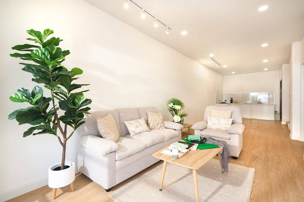 Thiết kế nội thất quận 9 phòng khách tông trắng trang trí cây xanh lớn.